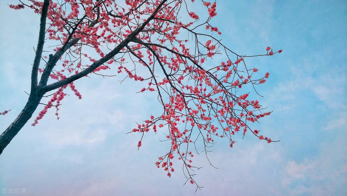 《永远不见的句子：你是爱》