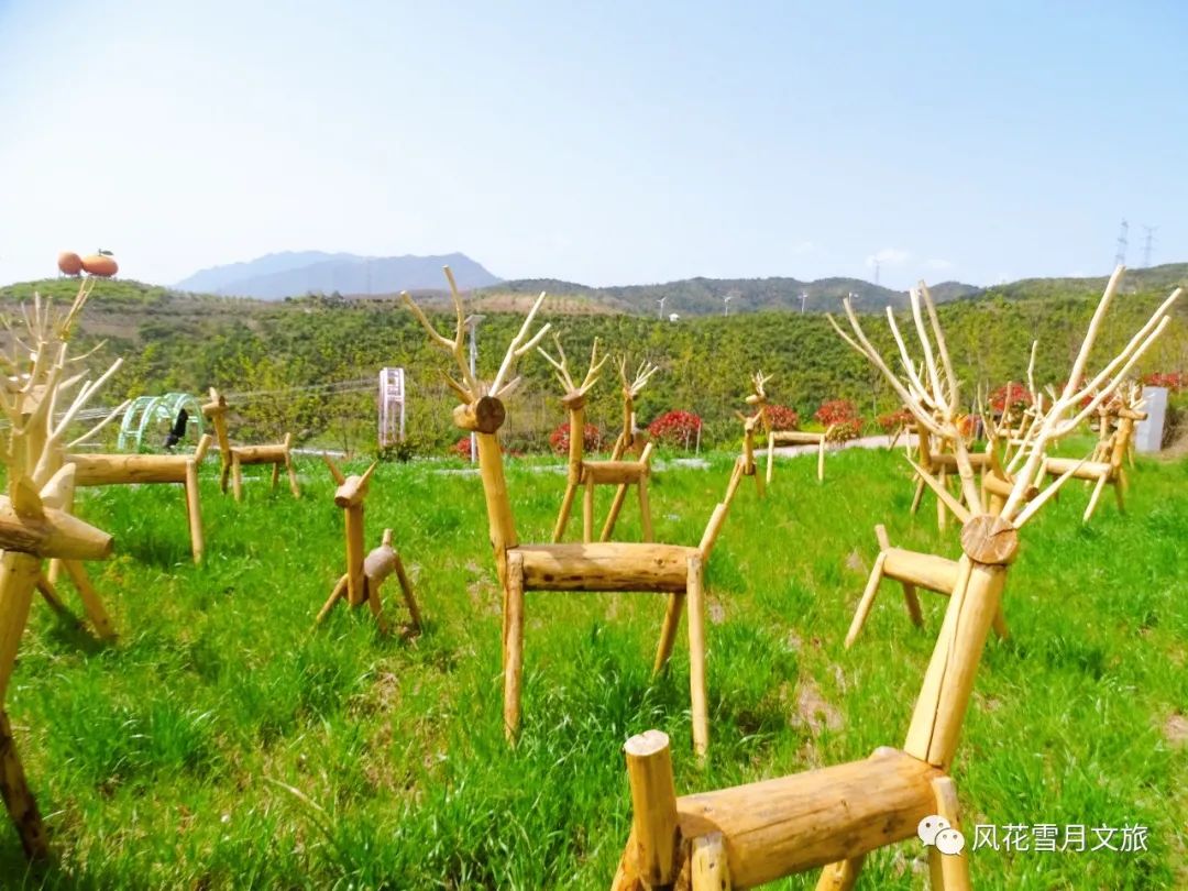 這是什么神仙地方啊？漢中這個(gè)寶藏地出圈又出片！