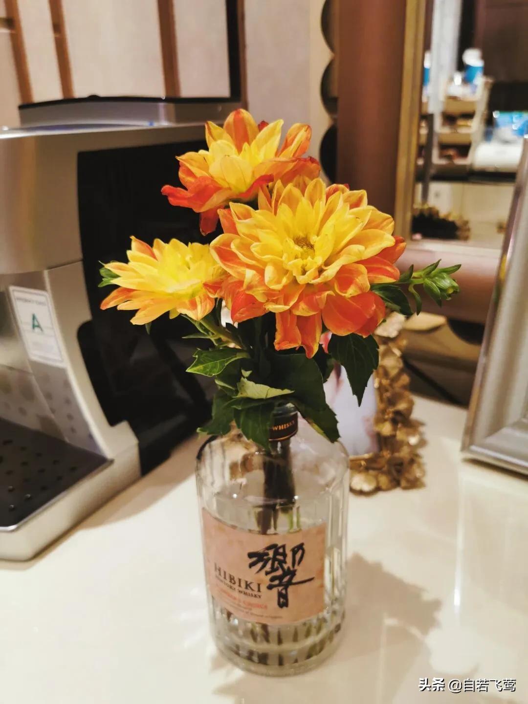 《朗读者》中董卿经典语录，每句都富含哲理