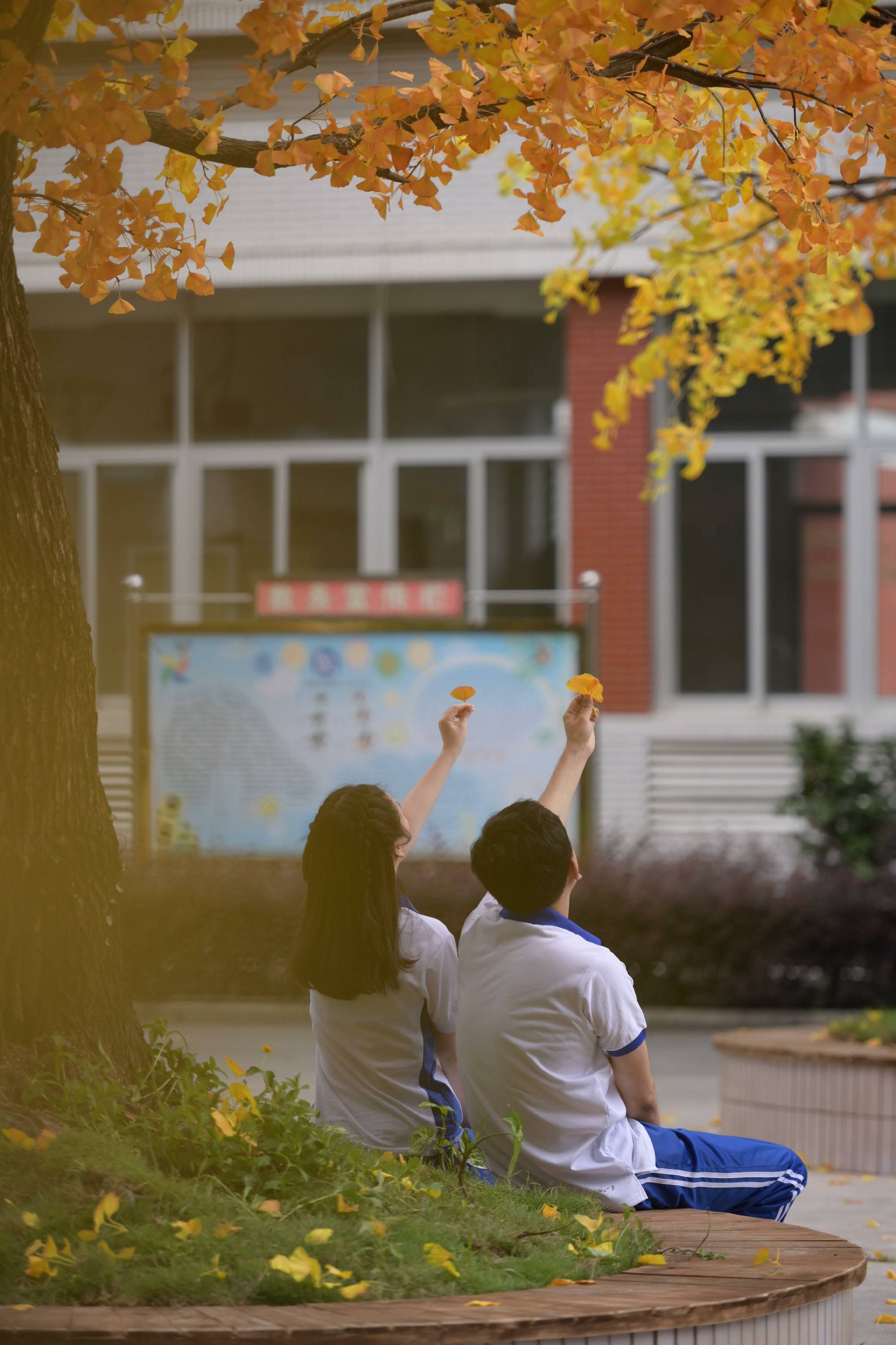 电影《我世界里的你》改档7月 刘竞自导自演与您相约暑期档