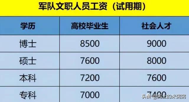 「详细」谈谈军队文职的职级与待遇问题