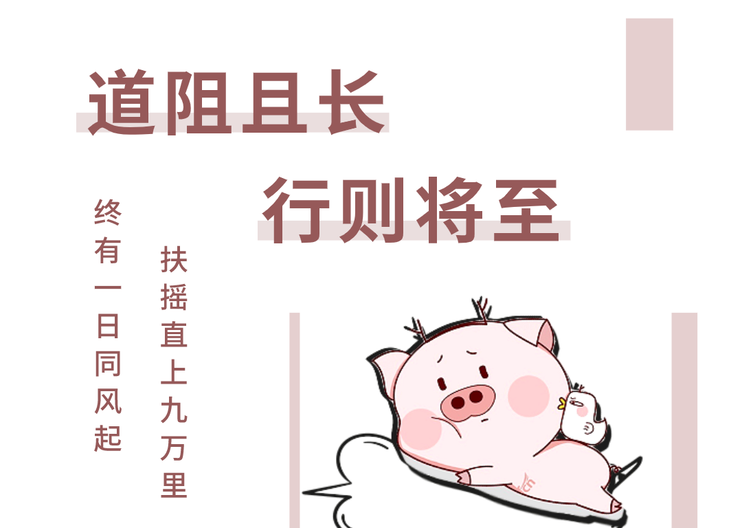 专升本英语和高考英语哪个更难？