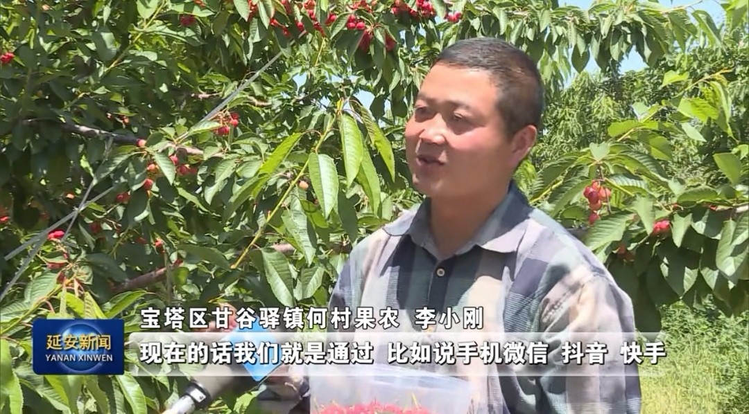 延安果农李小刚：做新型职业农民 过幸福小康生活
