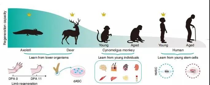 �����Ǹ���й���ѧ�ҷ��֡����������ʣ���Щʳ���к����ϸ�