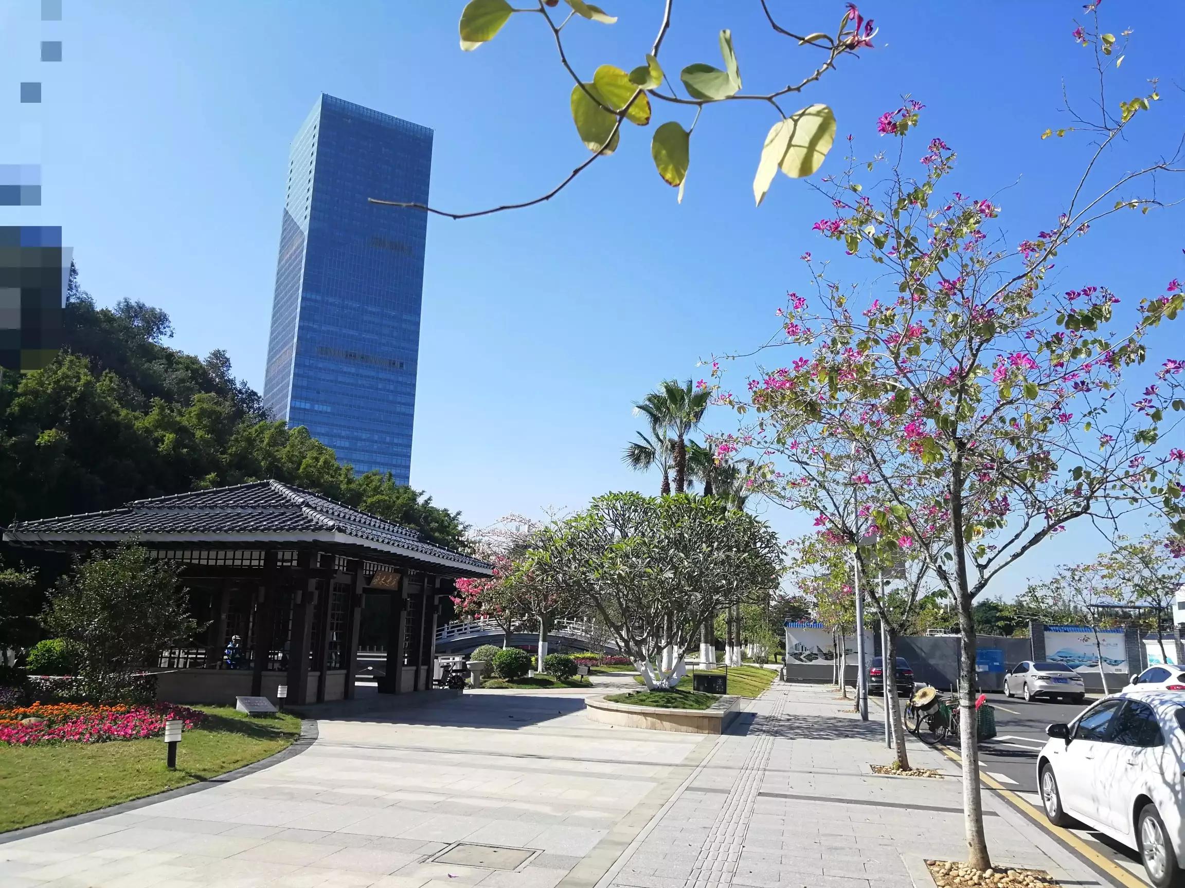 地铁4号线大学城游玩攻略，领略那不一样的广州大学城风光（C篇）