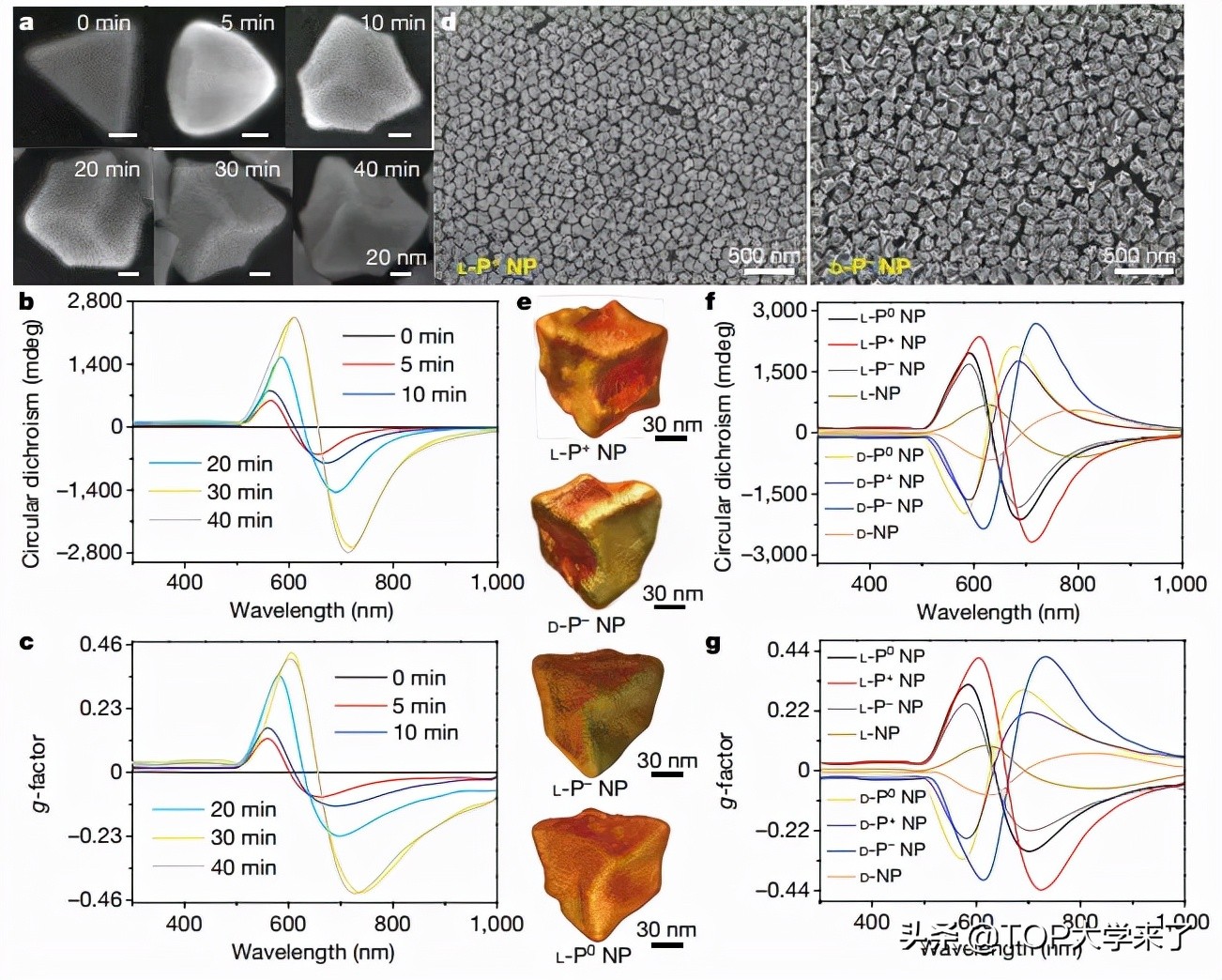 重大突破！江南大学建校以来首次以第一单位发《Nature》