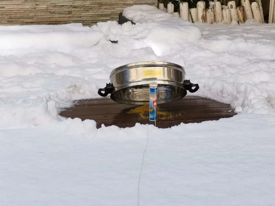 成人学院迅雷种子下载（刘兴亮）