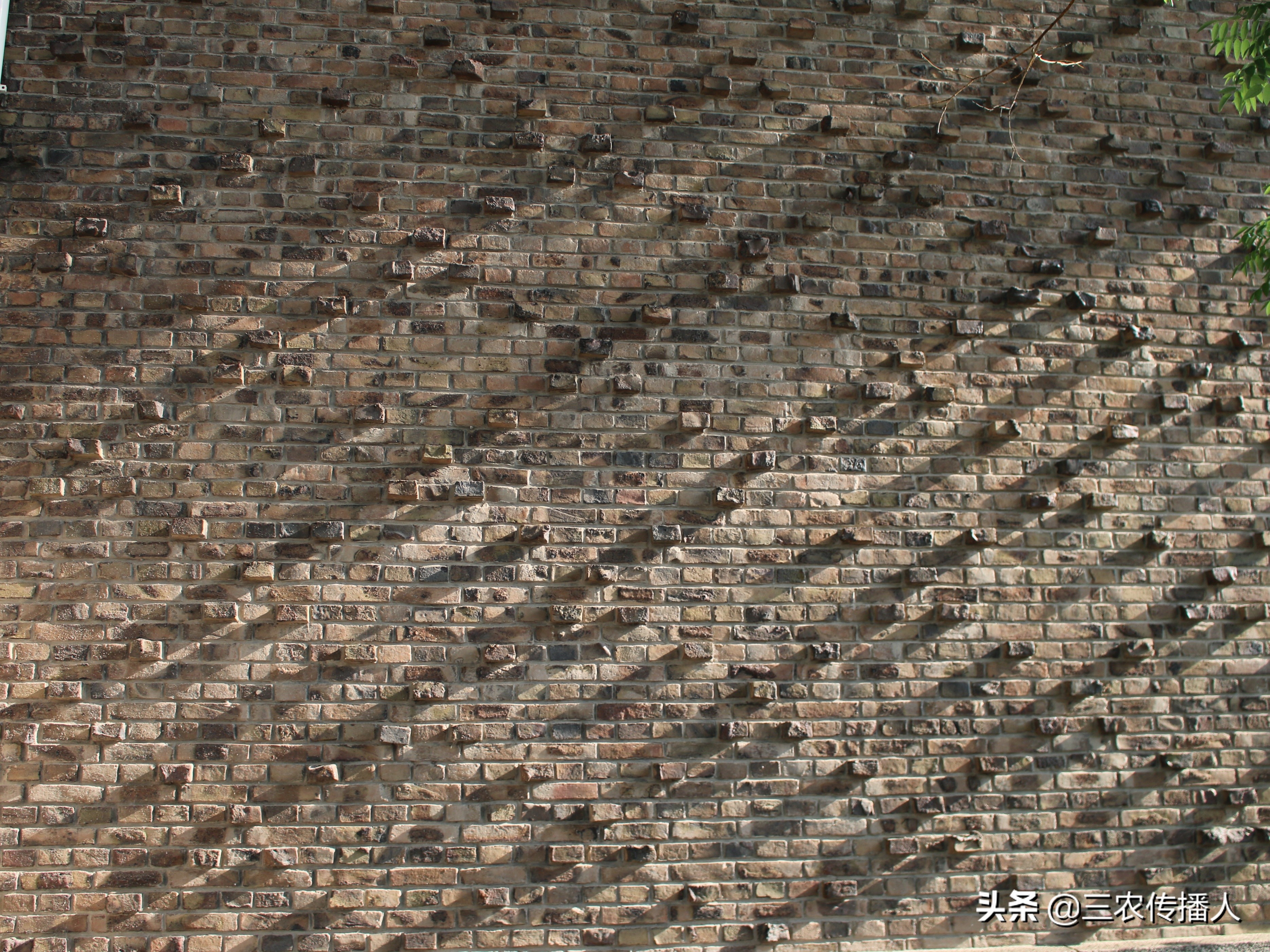 高考将至 | 用照片带你领略中国农业大学~ 是你向往的大学吗？