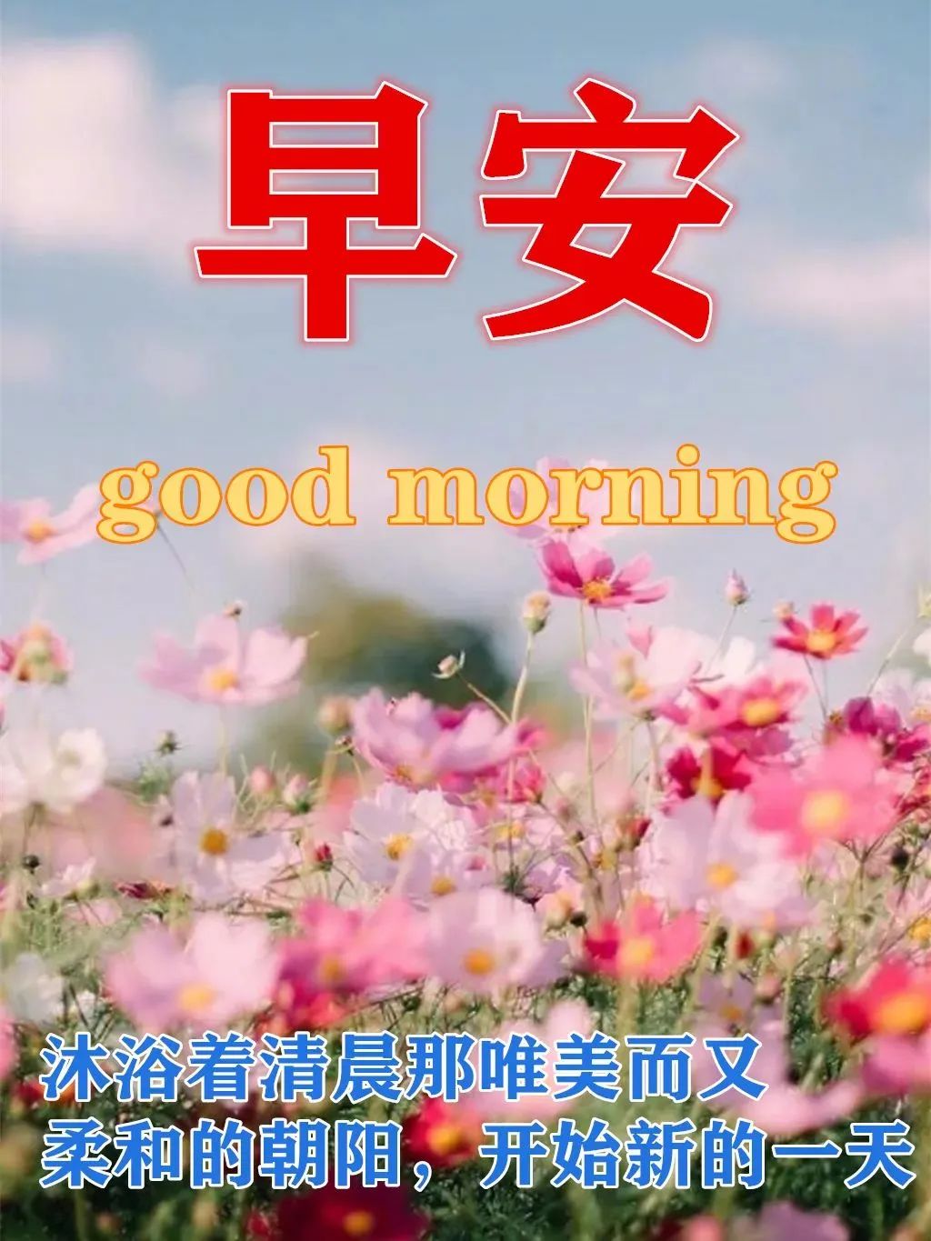 「2022.04.23」早安心语，世界读书日努力奋斗句子 早上好问候图片