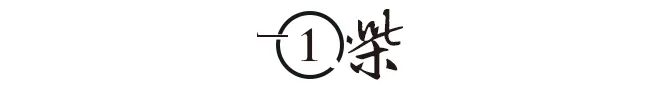 63岁日本大妈诈骗27亿（日本妹子花700万整容）