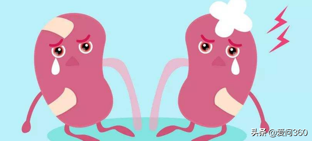 肾脏到底好不好，头发也能看出来，教你几个判断肾脏问题的方法