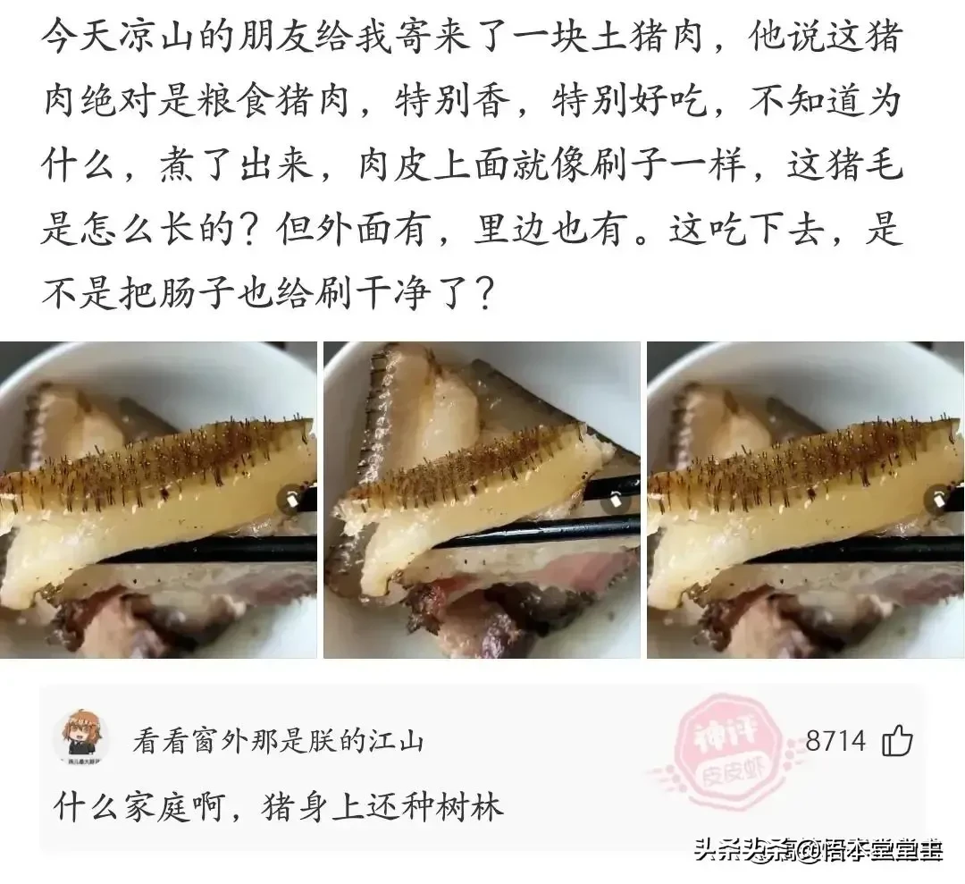 搞笑聊天：王大爷这次找对律师了