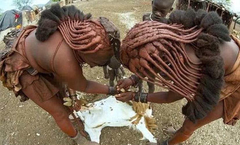 第八 牛粪装饰头发