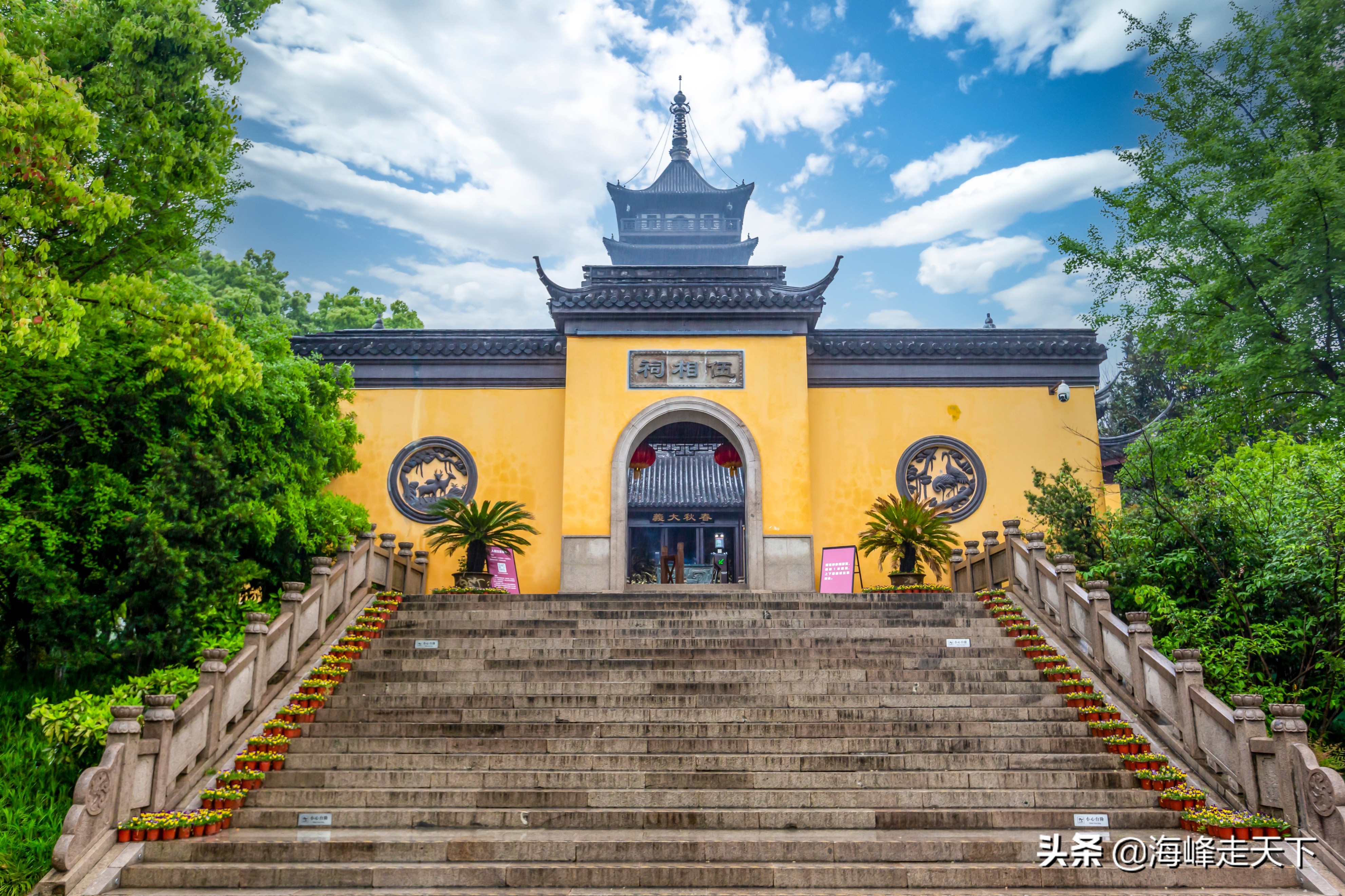 端午节有何由来？为何要吃粽子？传说为纪念屈原、伍子胥、曹娥