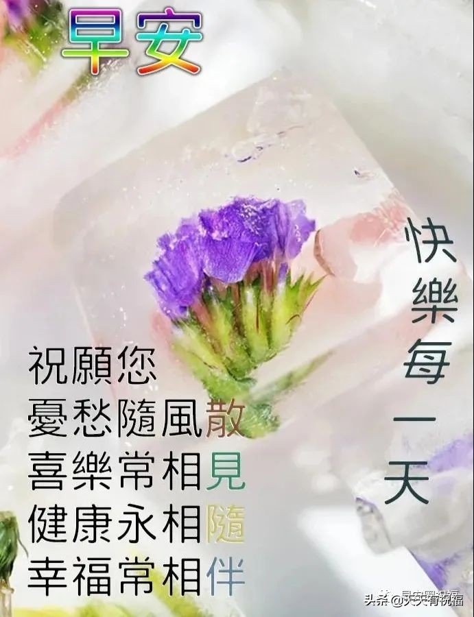 唯美好看的风景假期愉快早安问候图文 适合直接发群发圈的祝福文字