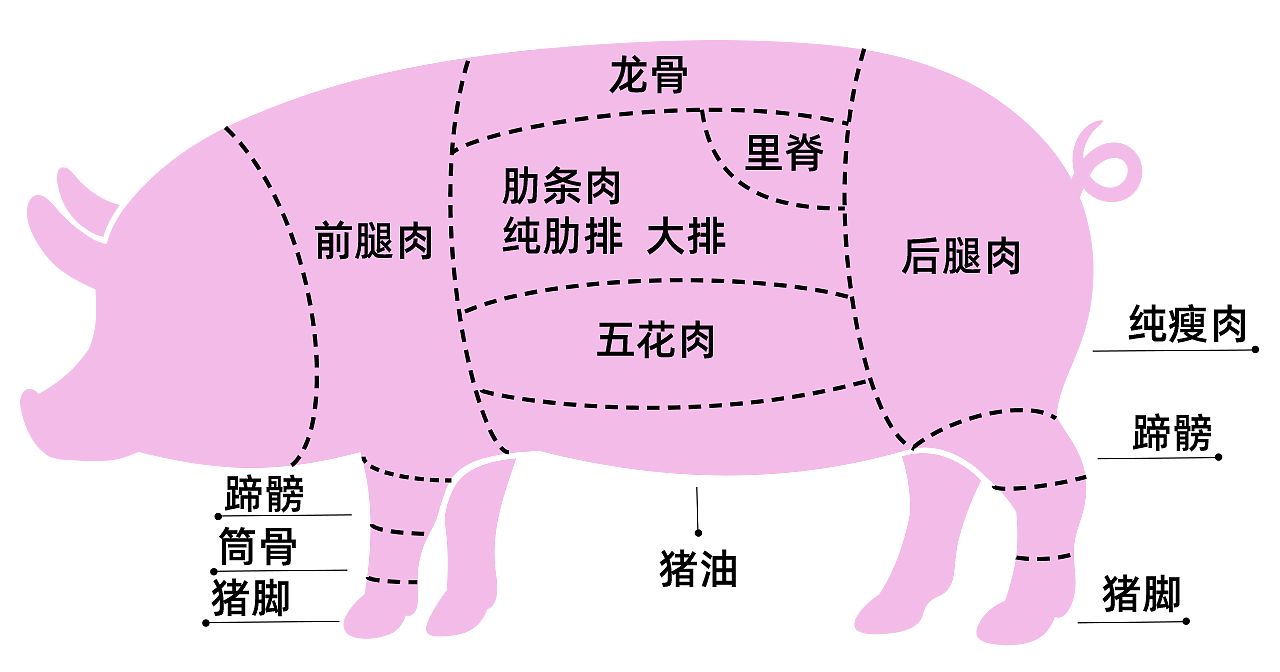 猪后腿肉是猪的哪个部位（揭秘猪身上最划算的4个部位）