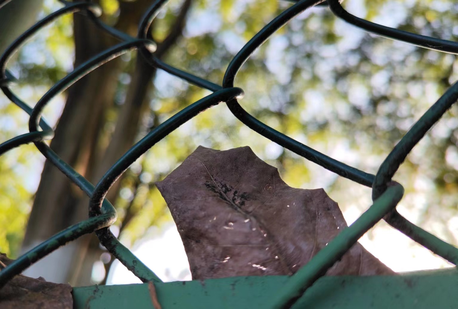 小米首发IMX989确是“无裁切”一英寸大底，盘点国产手机CMOS尺寸