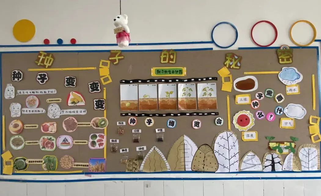 奇妙的种子——西充县示范幼儿园大班段主题活动