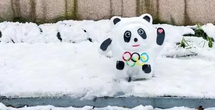 济南一村口惊现巨型冰墩墩！爆火后被村长连夜&ldquo;解救&rdquo;，网友：现在的我你高攀不起