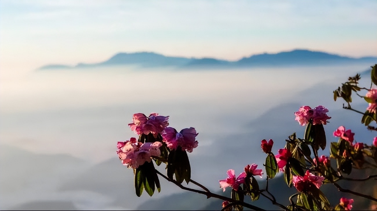 中国最会“泡”的城市在哪里？