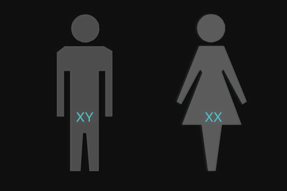 男生染色体是XY，女生的是XX，那染色体是YY的人又会是啥样的呢？