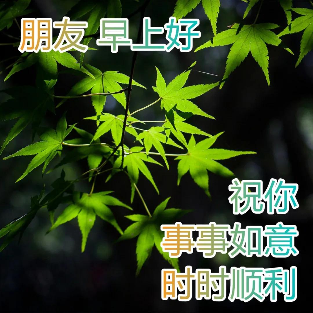 2022.04.18早安心语，早上好正能量感悟美句，愿你每天开开心心