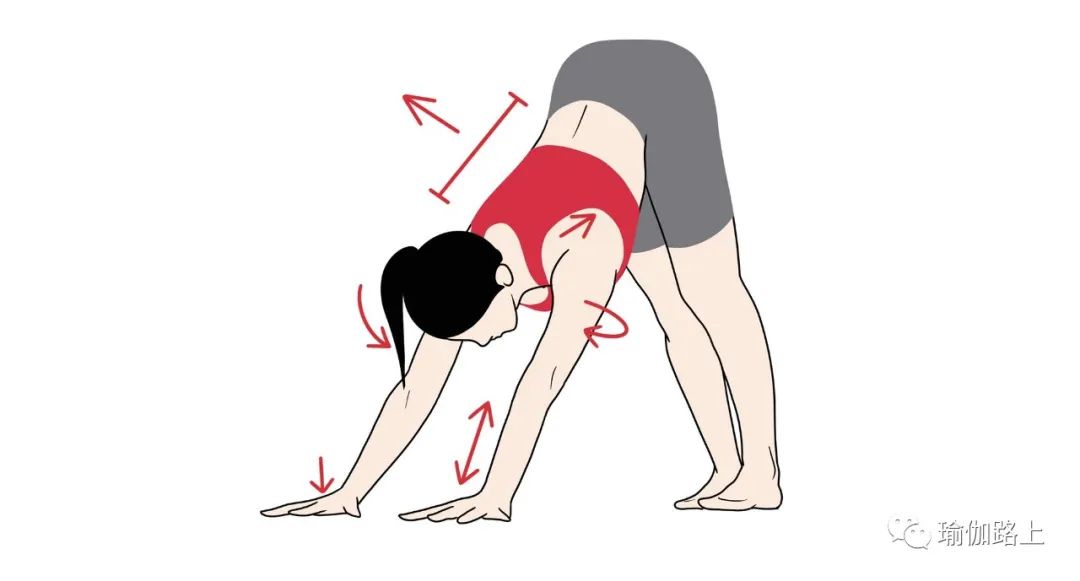 5 个瑜伽动作考验核心力量，入门级、中级、高级，你到了哪级？