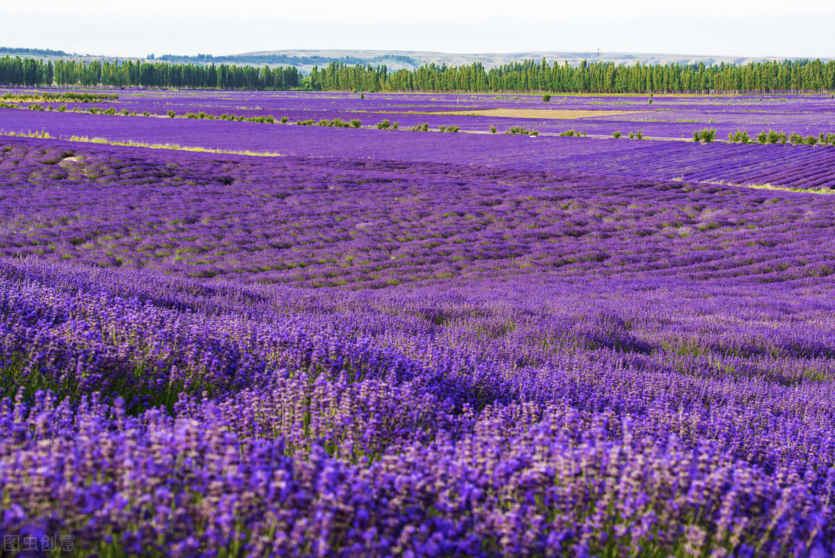 皮到挨揍的朋友圈幽默文案