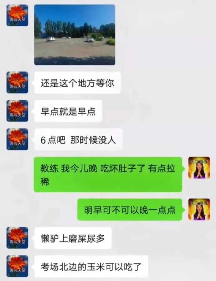 小猫的生日礼物（猫咪过生日送什么礼物）