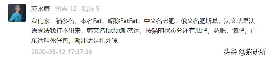 爆肝统计5000个猫名，让所有人都笑死在这些沙雕名字里