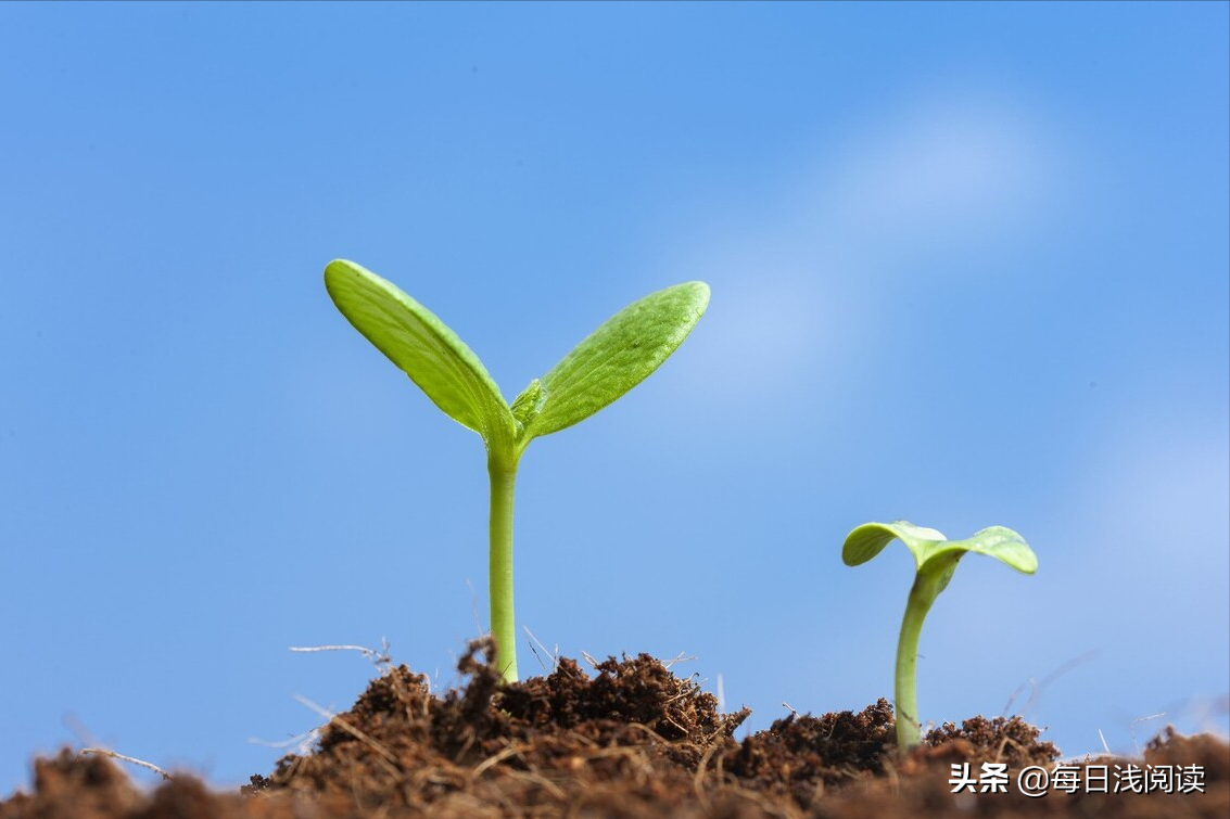 结果和过程，究竟哪个更重要？