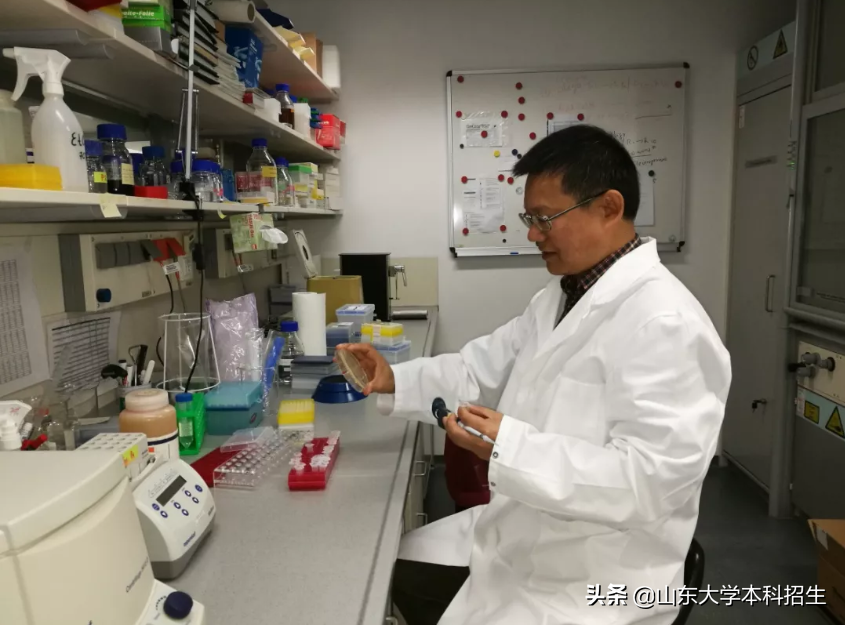 他从德国归来，加入985高校，还带回7个博士！成果突出，获山东省政府表彰！