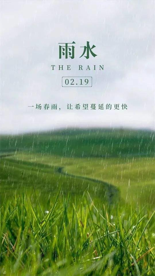 正月十九雨水至，晴朗天气暖人心，春意悄然润万物。