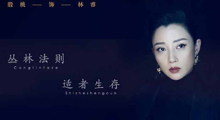 同样饰演职场女精英，把陈数、姚晨和杨颖放在一起，差距就出来了