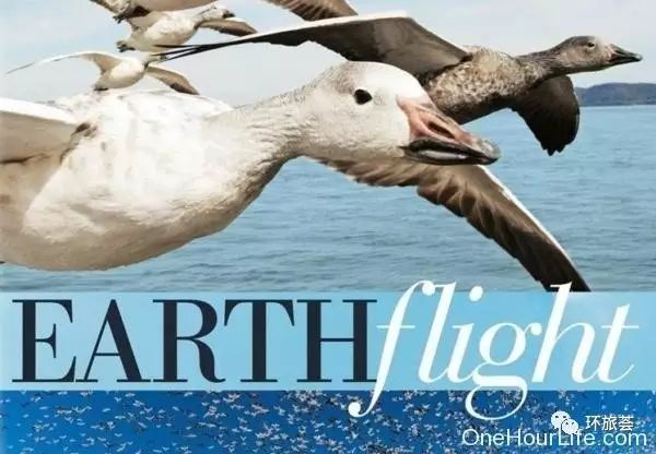 下载！纪录片分享 | BBC《鸟瞰地球 Earthflight》