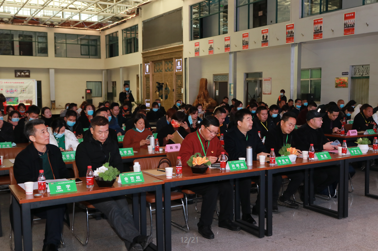 “玩美工坊”签约“豆状元”，共建新行业、新生态发展新模式