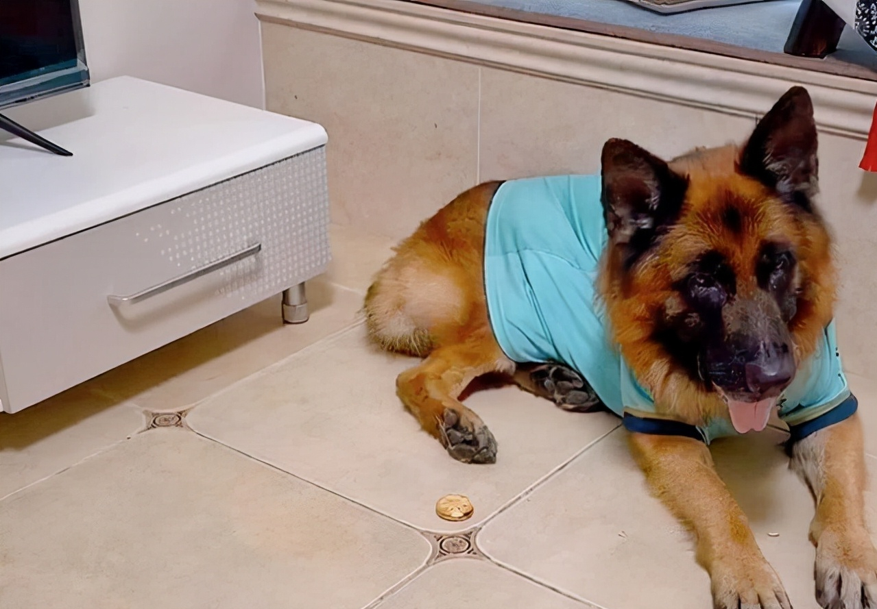 ЦèռǱķı_ķı200_Цèռ֮ķı