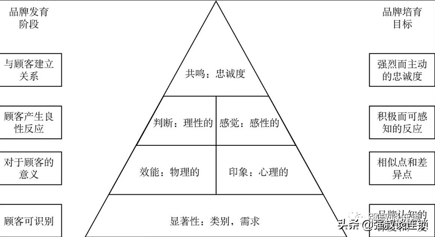 连锁企业品牌的建设与营销：打造统一形象，提升市场竞争力。