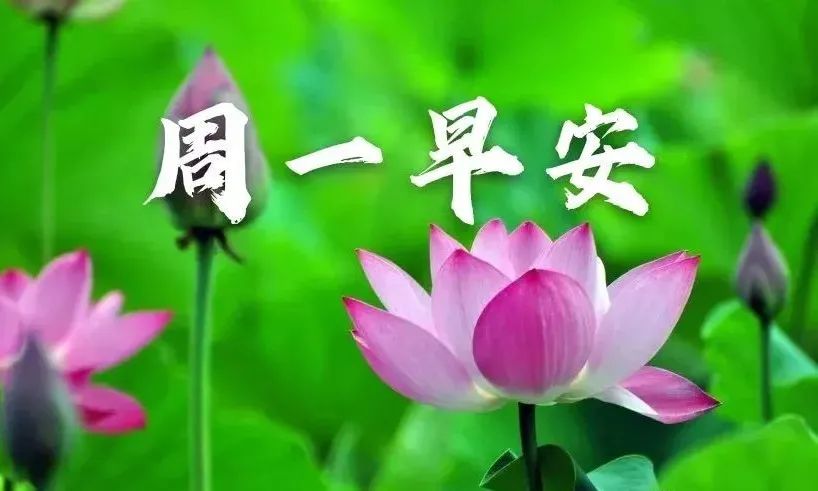 全力以赴又满载而归,做美好的事,变成更美好的人,早安