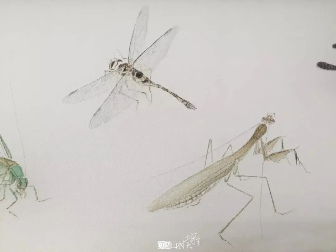 款款翩翩，不疑春深画中