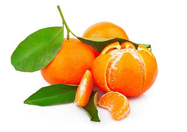 "纽荷尔"与"赣南脐橙"有什么区别时,查资料才发现,柑橘种类是如此之多