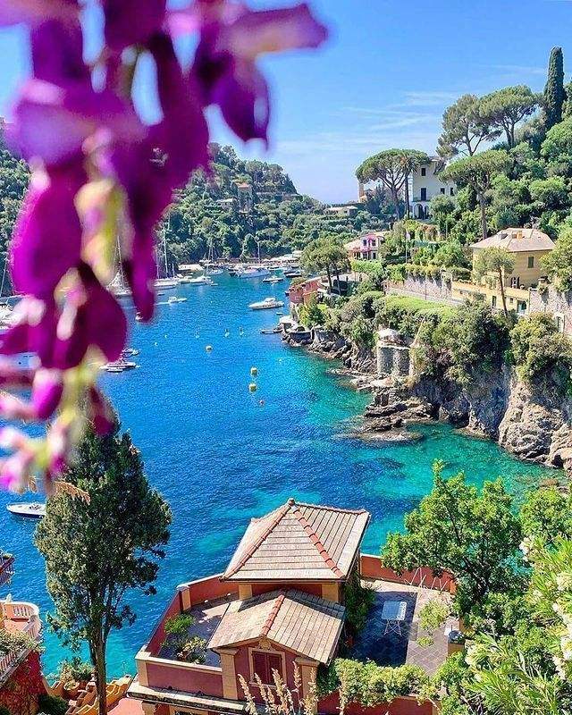 现阶段，意大利签证怎么申请？