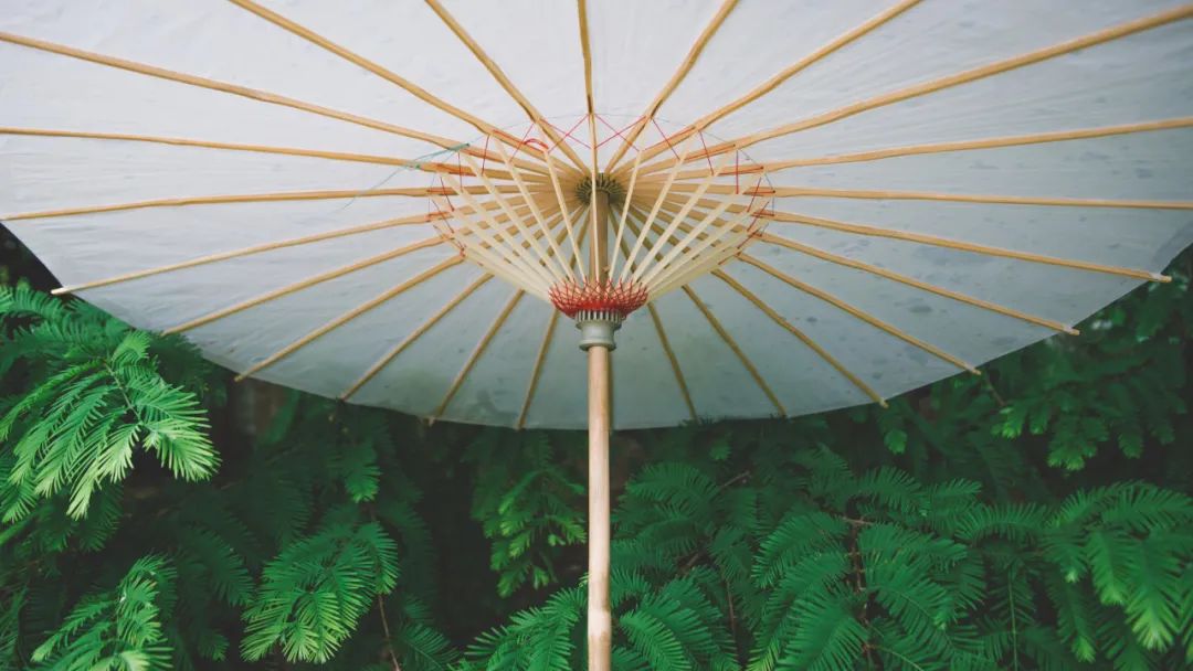 苏轼外出游玩突遇大雨，写下一首旷达词，抚慰无数受伤的心