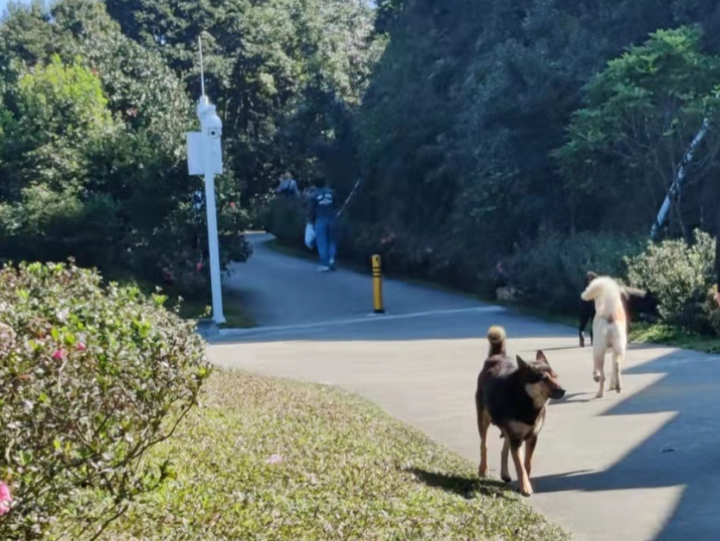 深圳梧桐山爬山攻略