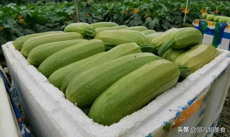 “夏季常吃瓜，物不用抓”，5瓜要多吃，身健康少生病