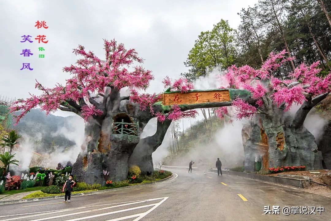 漢中南湖景區(qū)郁金香花開正艷 花海+漢服 4月2日一場視覺盛宴來襲