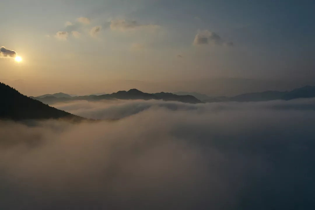 第四届陕西网上茶博会—茶旅精品线路推荐之镇巴篇