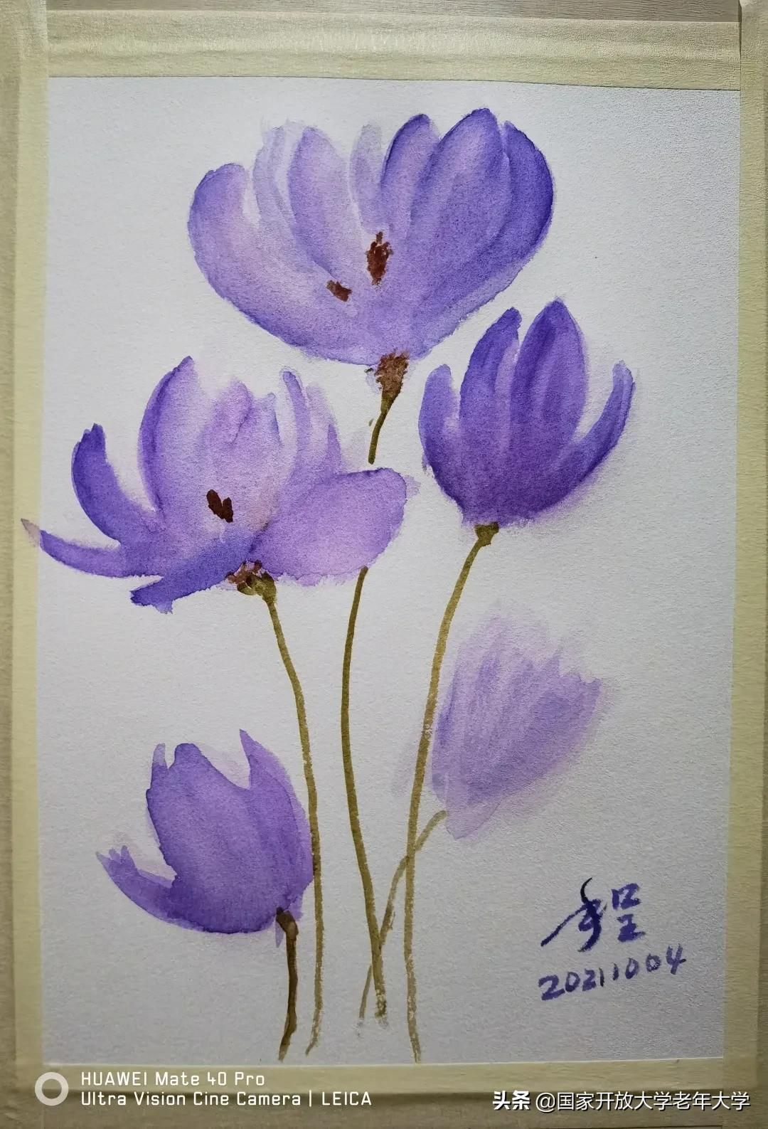 在校园·良作 | 水彩让我们的青春重新绽放——水彩画初级班学员作品