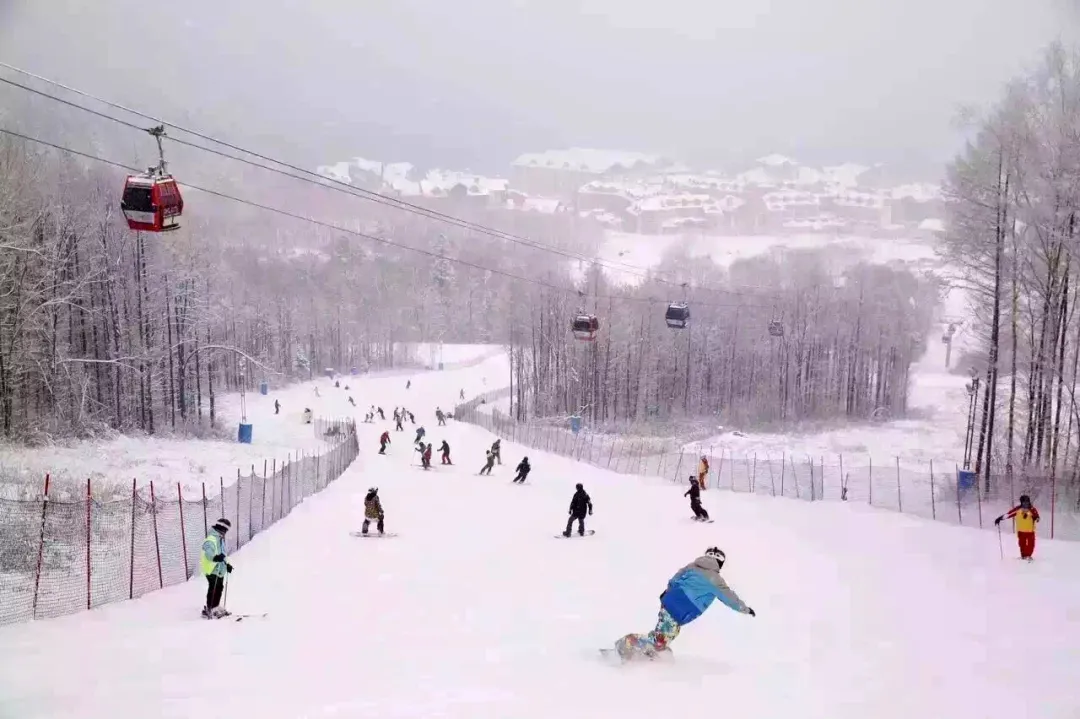 终不负约!冰雪大世界开园!雪乡恢复开放!梦幻大东北又回来了
