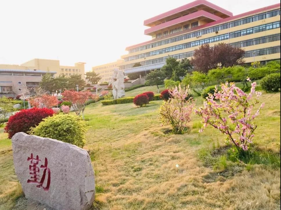 上岸清北，刷新考研录取率，这些“超强”学霸学院、学霸寝室，全部来自青岛大学！